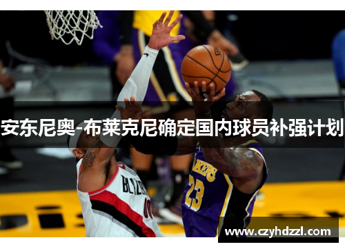 安东尼奥-布莱克尼确定国内球员补强计划