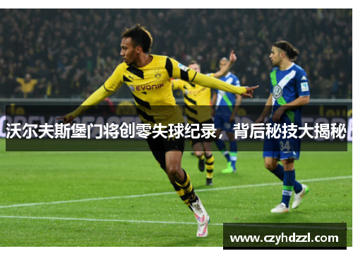 沃尔夫斯堡门将创零失球纪录，背后秘技大揭秘